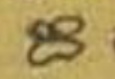 Manuscript form of ṛ