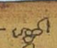 Manuscript form of shmi